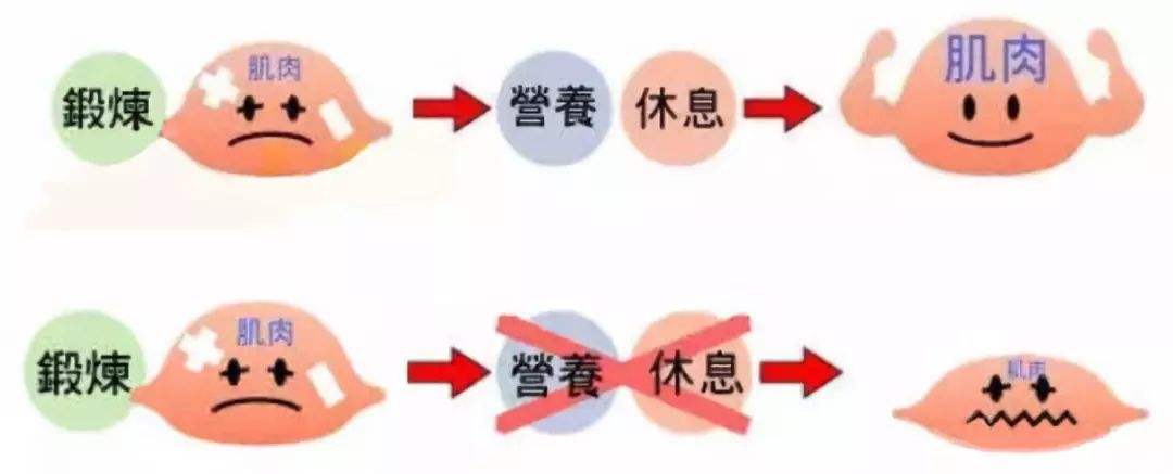 想要增肌效果好,你需知道训练前后喝什么补剂